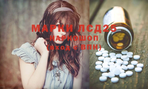 мяу мяу мука Аркадак