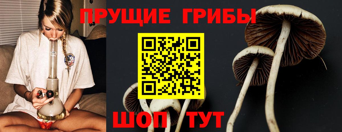 Галлюциногенные грибы Cubensis  Псилоцибиновые грибы GOLDEN TEACHER  Зима  Вход с VPN 