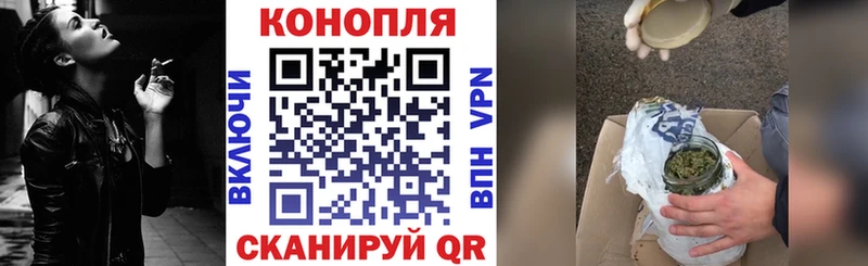 где купить   Зима  Канабис конопля 